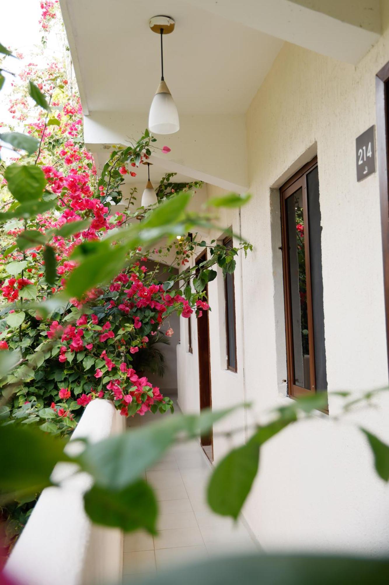 Hotel Hulku Playa del Carmen Rum bild